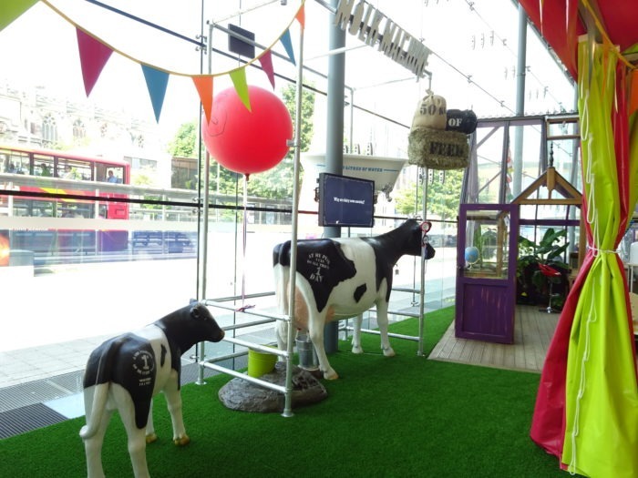 3D Model Cow and Model Calf at Bristol Exhibition