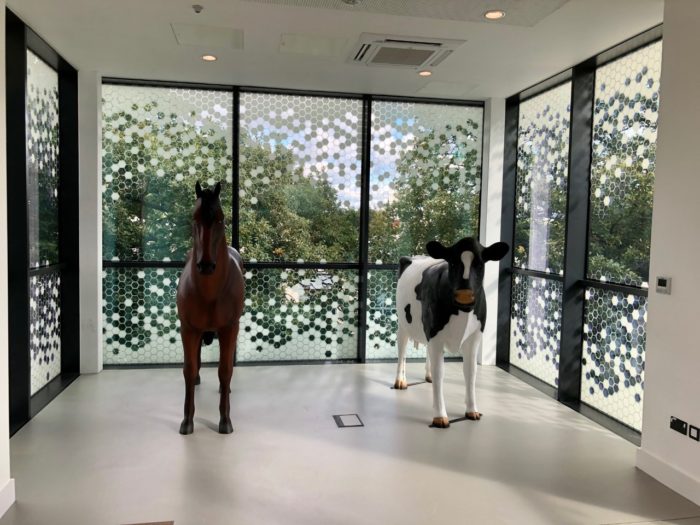 Life Size 3D Horse Model and Cow Model at Harper & Keele University