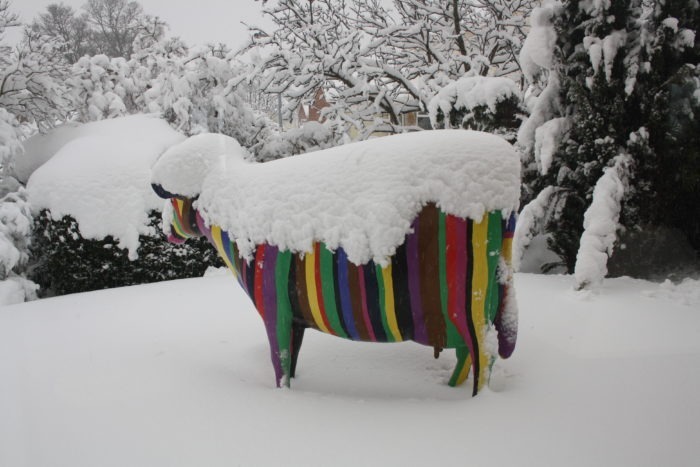 3D Model Barcode Cow Deep in Snow
