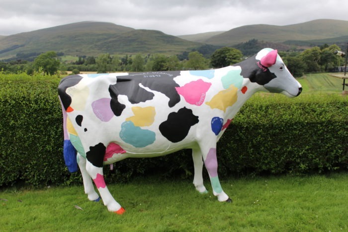 Customised 3D Multicoloured Model Cow
