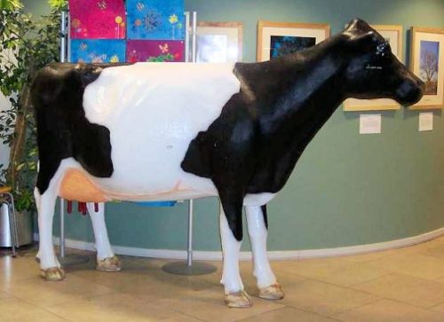 3D Standing Head Up Model Cow