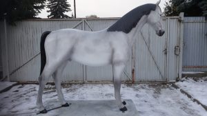 Life Size Anatomy Grey Horse Model Off Side