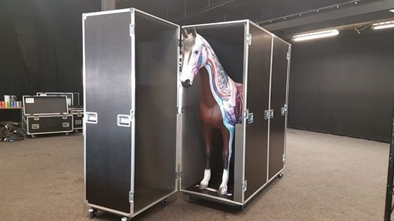 Anatomy Full Size Horse 3D Model