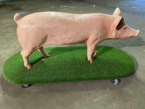 Life Size Model Sow on a Turfboard