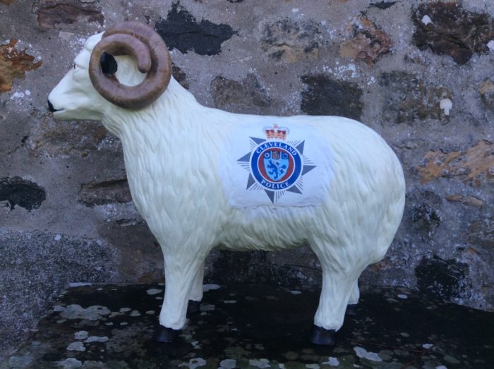 Cleveland Police Model Sheep