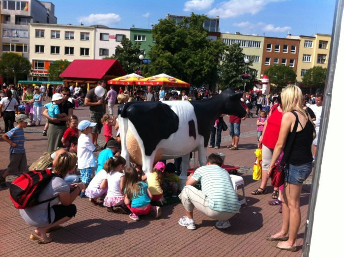 3D Model Milking Cow in Czech Republic