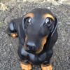 Life Size Dachshund Dog Model