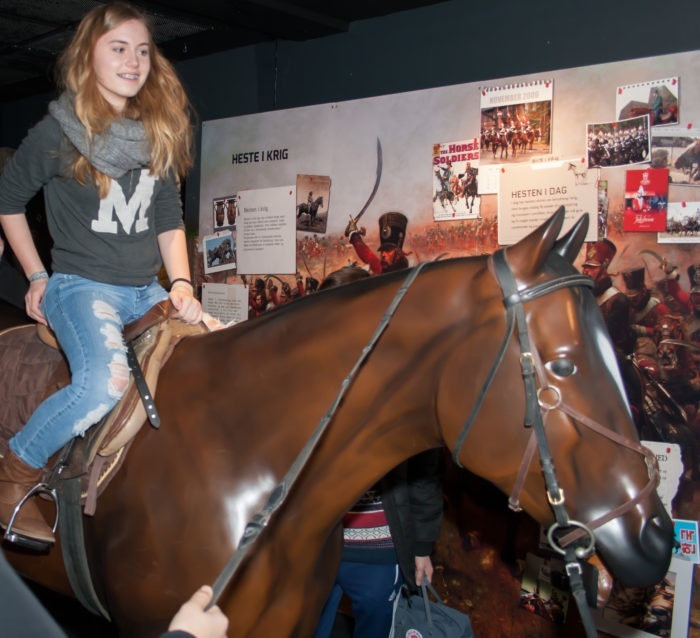 Bay Horse Model at Danish War Exhibition