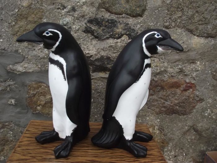 3D Galapogas Penguin Models