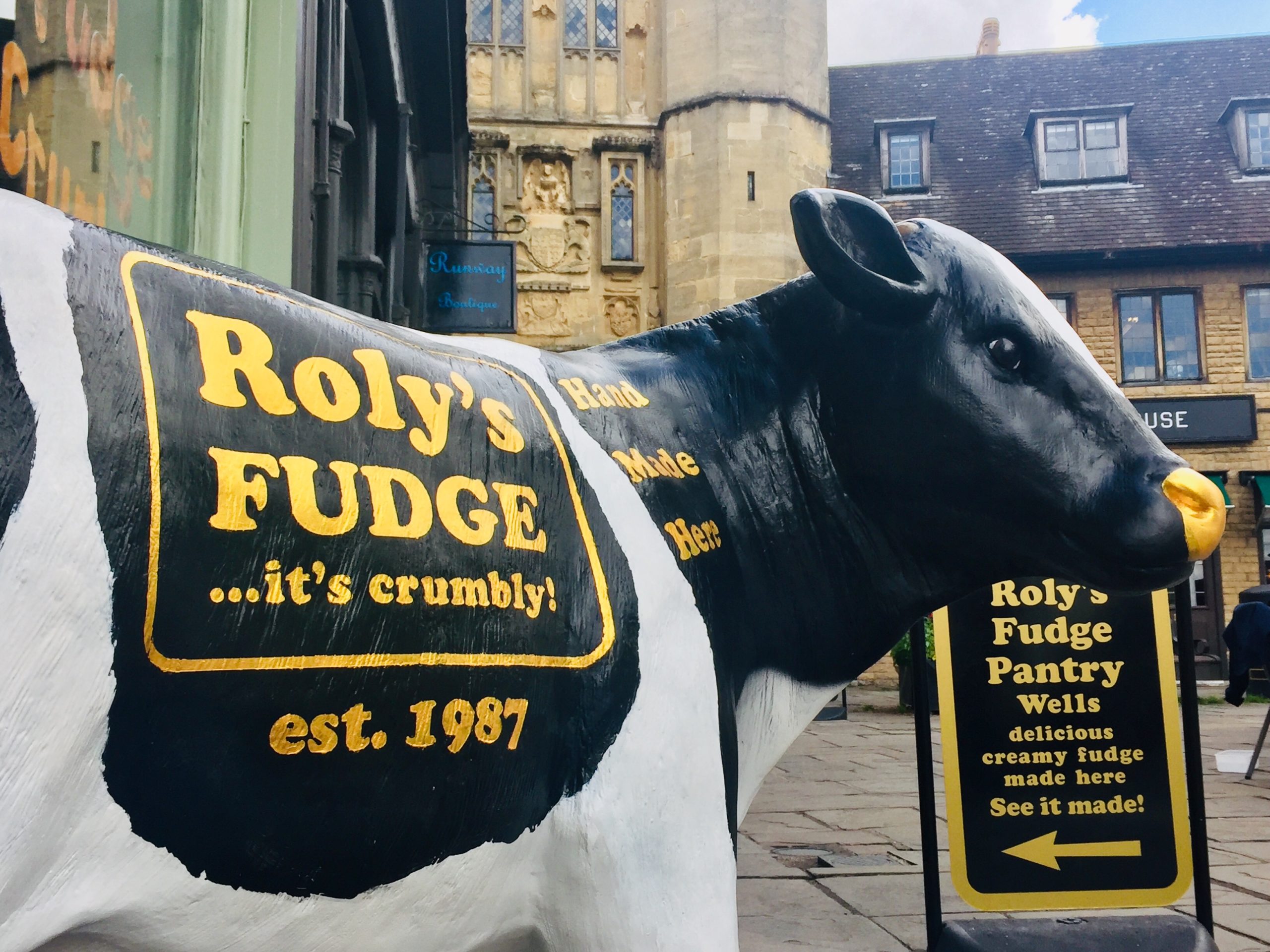 Roly`s Fudge Model Calf