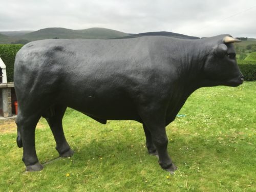 3D Life Size Black Bull Model