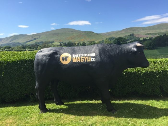 Customised 3D Wagyu Beef Bull Model