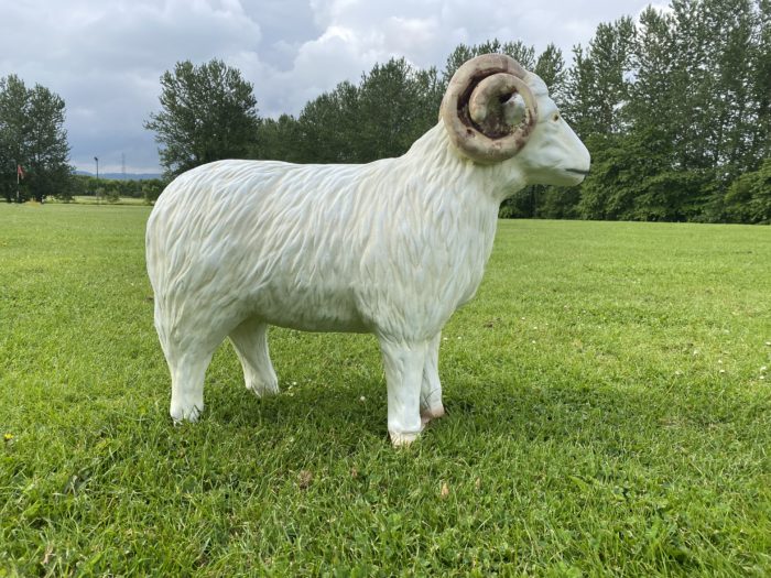 Model Sheep with horns and metal spars for extra strength