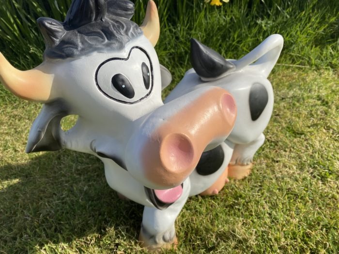 Funny Cow 3D Model