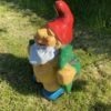 Little Flash the Garden Gnome