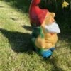 Little Flash the Garden Gnome