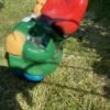 Little Flash the Garden Gnome