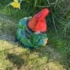 Little Flash the Garden Gnome
