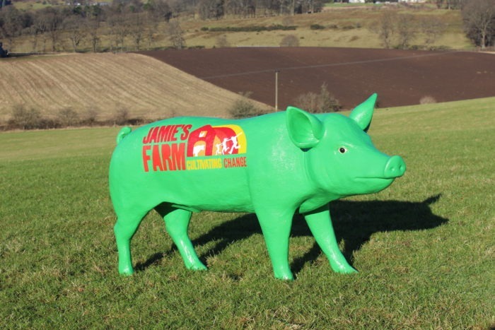Life Size Model Green Boar Pig