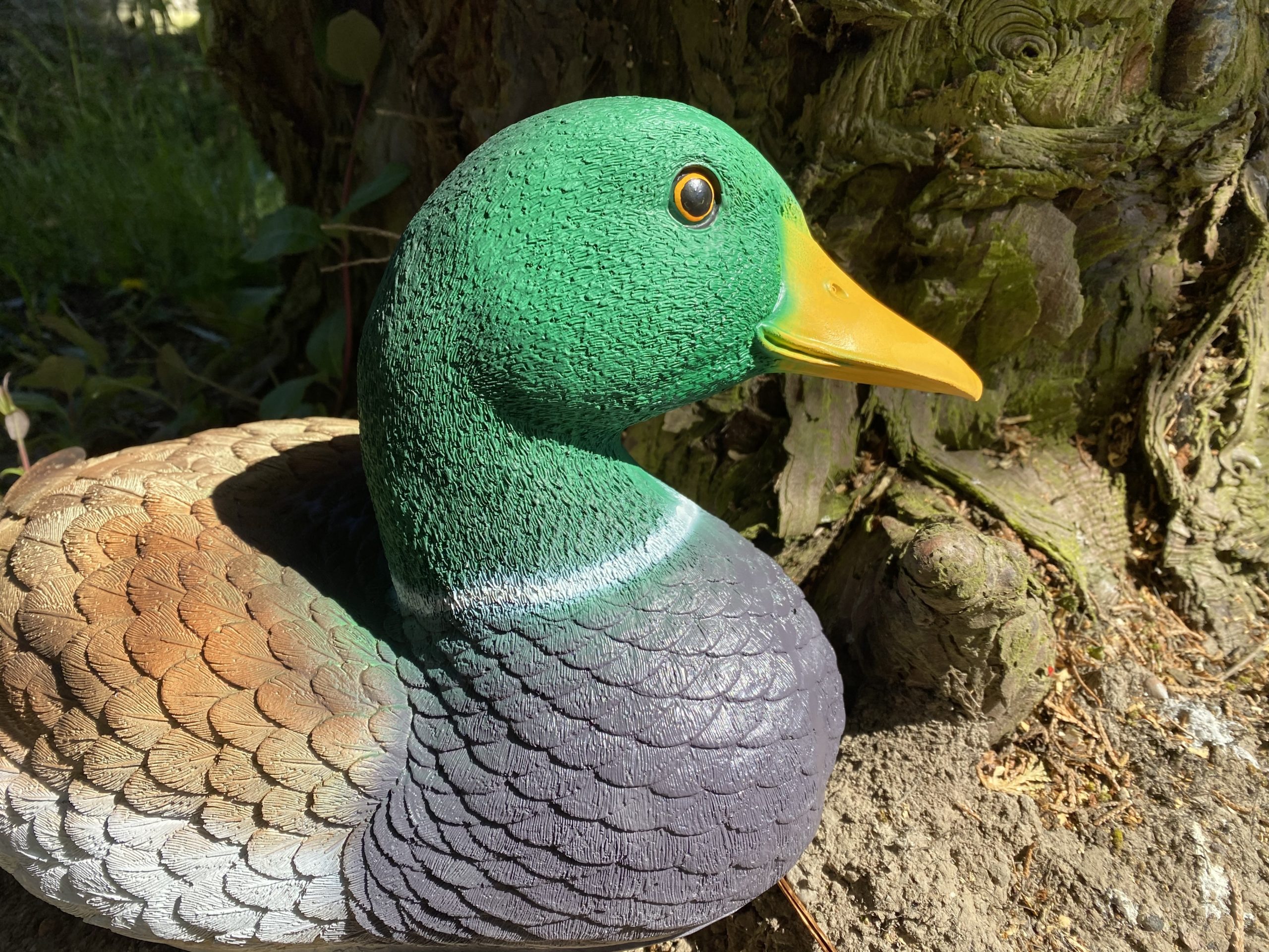 Male Mallard Duck Life Size Statue 