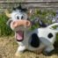 Happy Cow Model