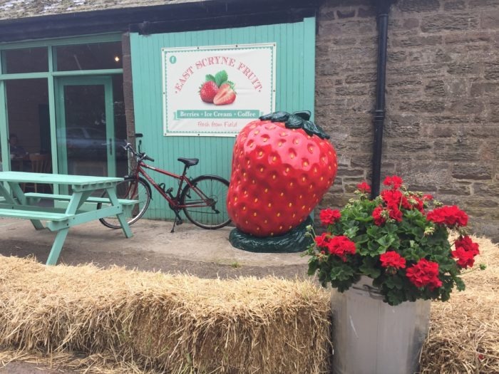 Giant Strawberry Fibreglass Model @ Farm Shop