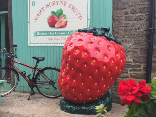 Giant Strawberry Fibreglass Model @ Farm Shop