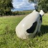 3D Spotted Pig Model