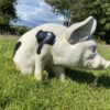 3D Spotted Pig Model