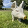 3D Spotted Pig Model