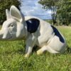 3D Spotted Pig Model