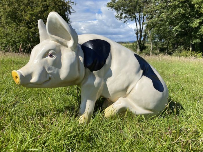 3D Spotted Pig Model