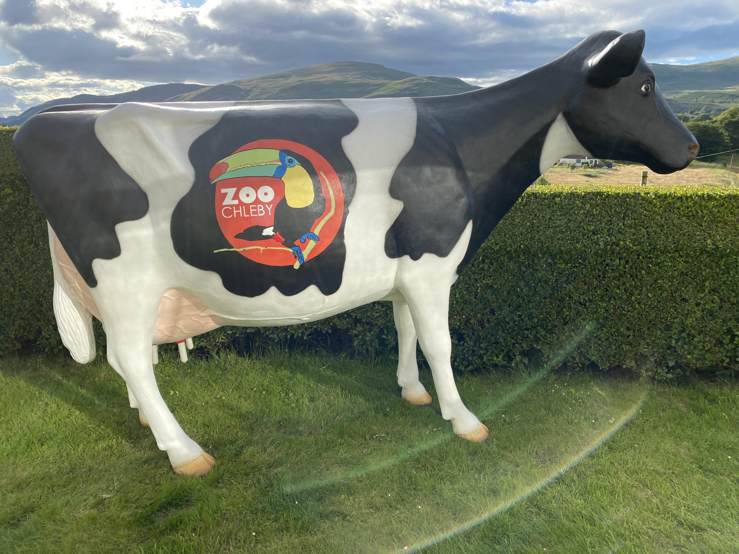 Zoo Chleby Milking Cow Model