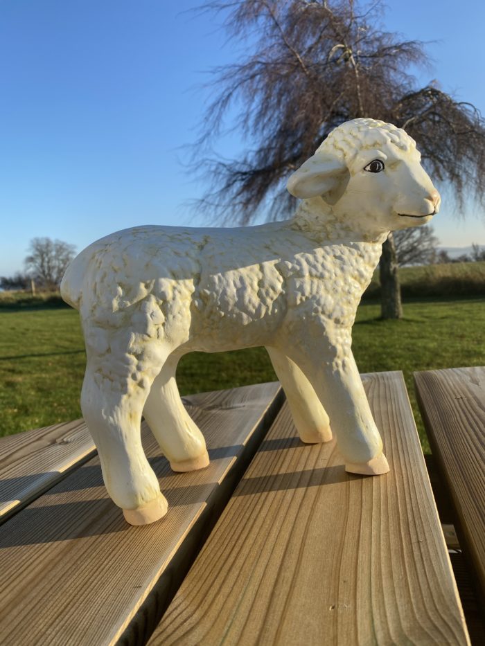 Lamb Model in Sunshine
