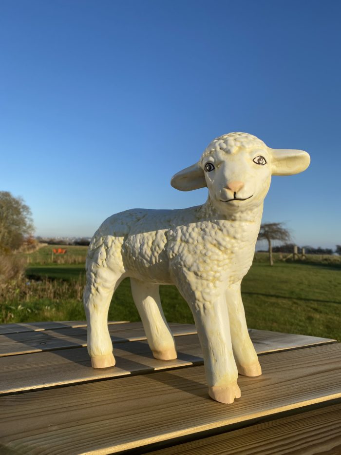 Lamb Model Standing