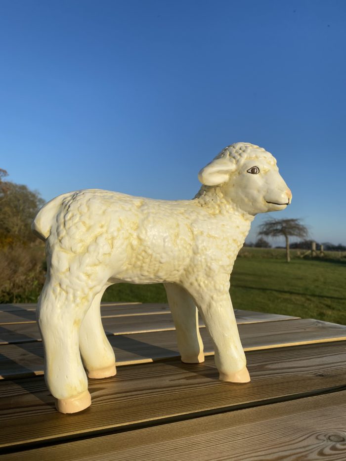 Standing Lamb Model Looking Ahead