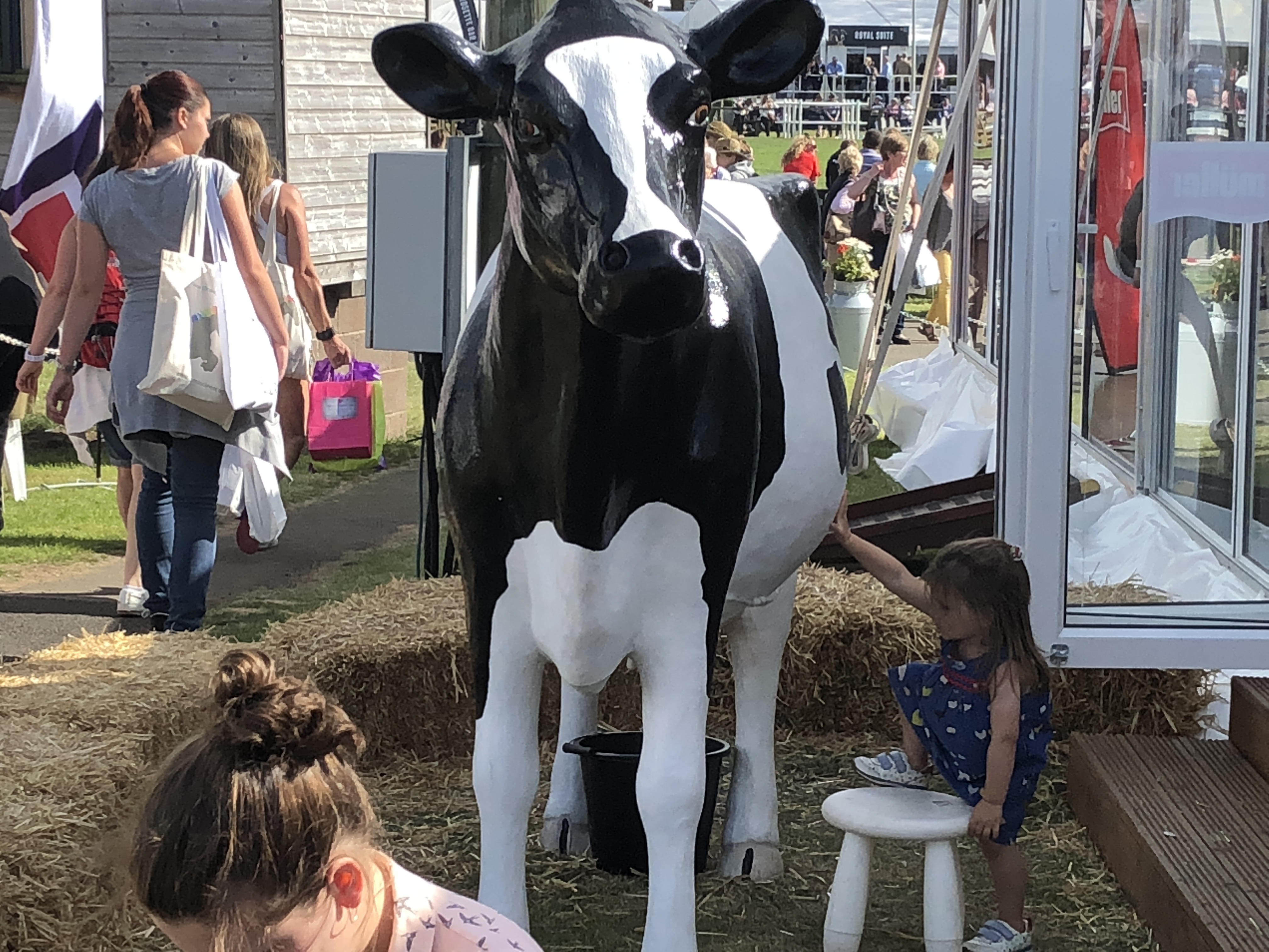 Model Milking Cow at Royal Highland Show 