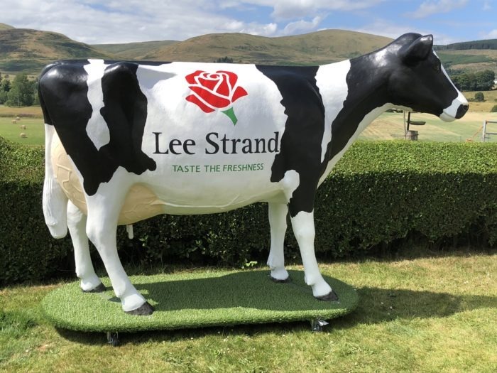Life Size 3D Model Cow on Turfboard