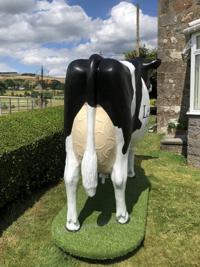 Lifesize Model 3D Cow on Trolley