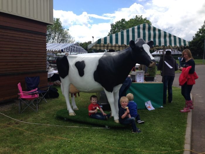 3D Model Milking Fibreglass Cow at Farm Open Day