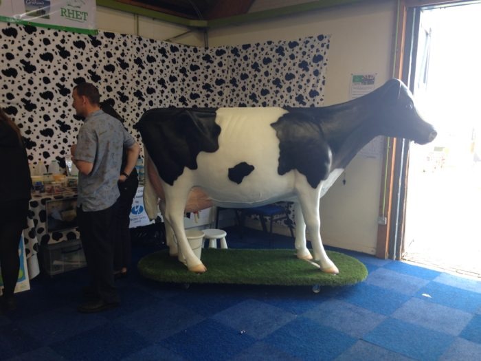 Life Size 3D Model Milking Cow at Royal Highland Show