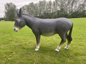 Large fibreglass donkey model with mouse-grey coat, white underbelly, and brown halter—standing upright for display.