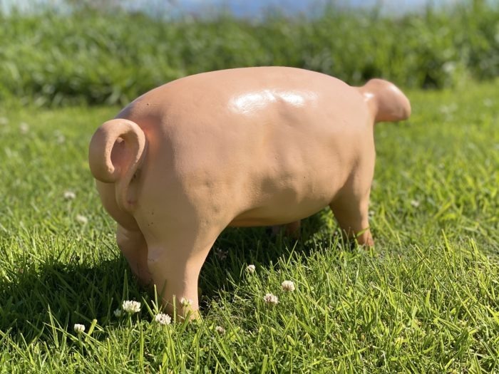 Life Size Fibreglass 3D Pig Model in field