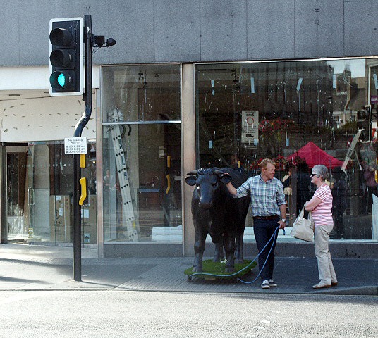 Adam Henson and 3D Life Size Model Bull in Union Street, Aberdeen