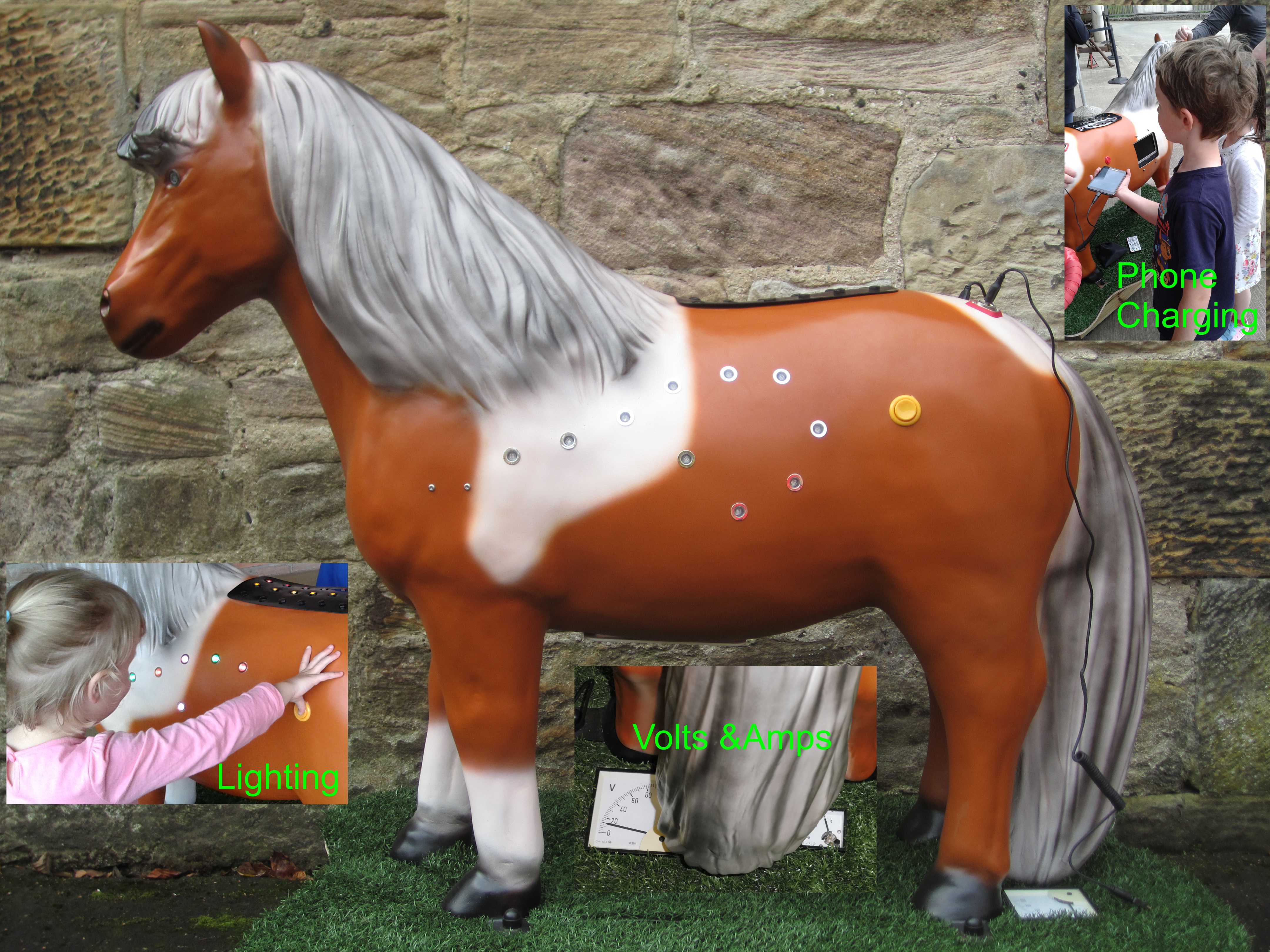 Model Shetland Pony with multifunctions