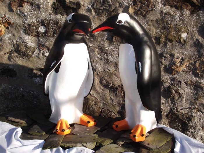 3D Gentoo Penguin Models
