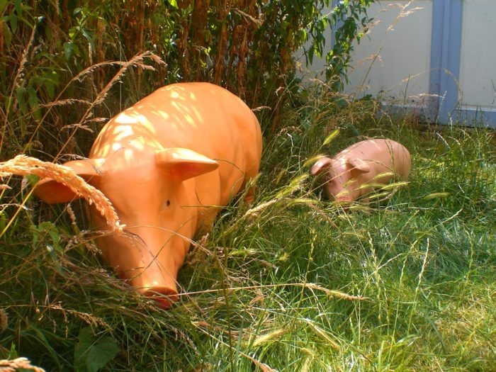 3D Life Size Sow Pig Modelin Grass