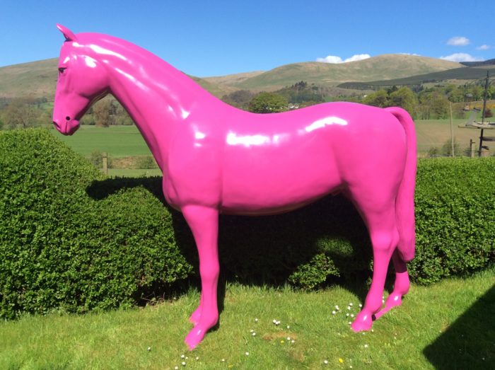 Instagram Pink Horse Model
