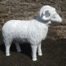 Sheep Model Prop with Horns