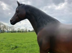 Life Size Arab Horse Model
